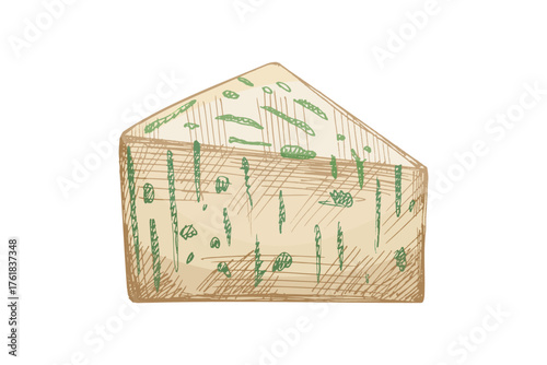 Hand drawn vintage sketch of herb infused green cheese wedge with natural texture in creamy yellow color, isolated detailed vector illustration