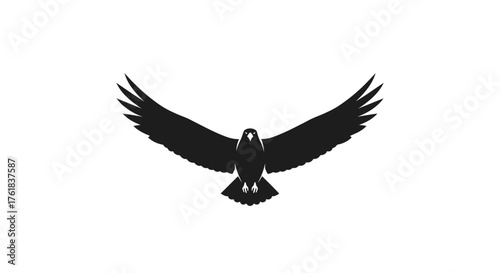 Silhouette of a Majestic Eagle in Flight with Wings Spread Wide.