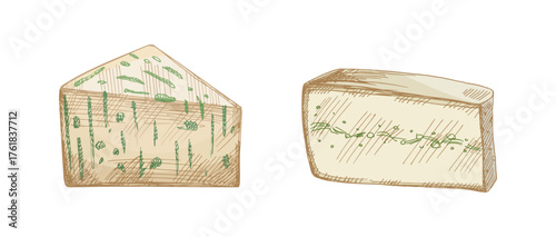Hand drawn vintage sketch set of herb and green infused cheese wedges with natural texture in creamy yellow color, isolated detailed vector illustration