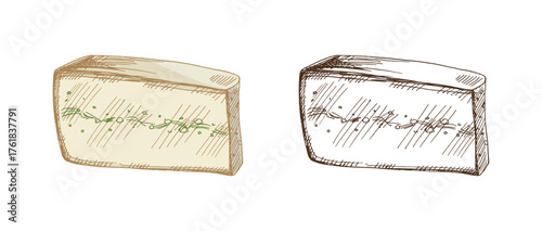 Hand drawn vintage sketch set of herb infused cheese wedge with green seasoning line in color and monochrome versions, detailed dairy food illustration, isolated vector design