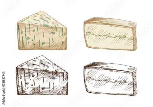 Hand drawn vintage sketch set of herb and green mold cheese wedges in color and monochrome versions, detailed gourmet dairy food illustration, isolated vector design