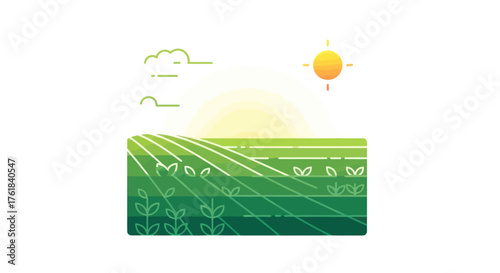Green agricultural field with sun and clouds representing growth and nature.