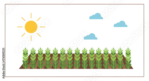 Vibrant green plants growing in soil under bright sun and blue clouds.