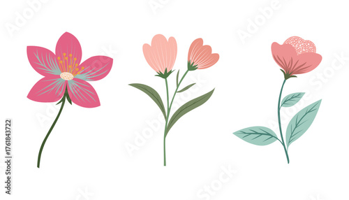 New set of flower illustration