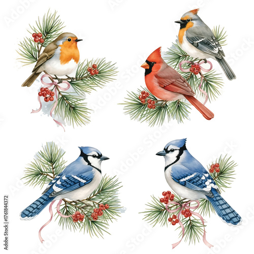 Watercolor Set of Christmas Birds on Winter Branches