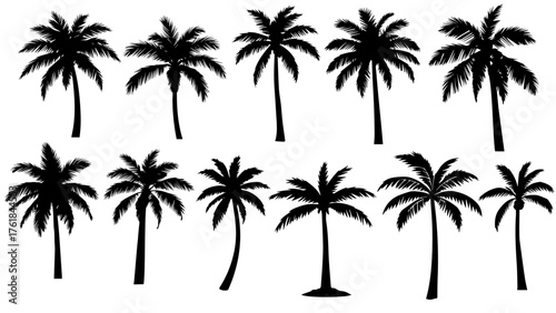 Enhance your designs with this black palm tree silhouettes set - perfect for tropical, summer, or beach-themed projects!.