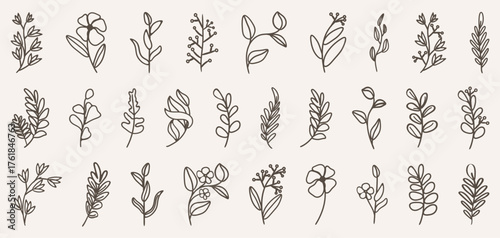 Botanical branch collection with hand drawn minimalist twigs. Elegant floral sketches in natural line style for invitations or decor