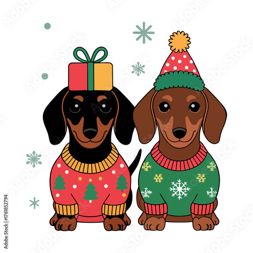 Cute dachshund dogs in Christmas sweaters, gift bow and pom hat, adorable winter pet illustration, holiday vector