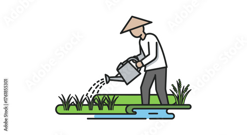 Asian farmer in conical hat watering rice plants.