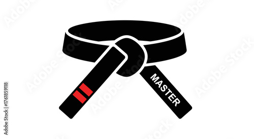 Black martial arts belt with red stripes and MASTER inscription.