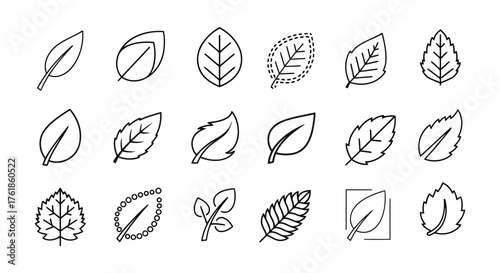 leaf line art icon vector illustration