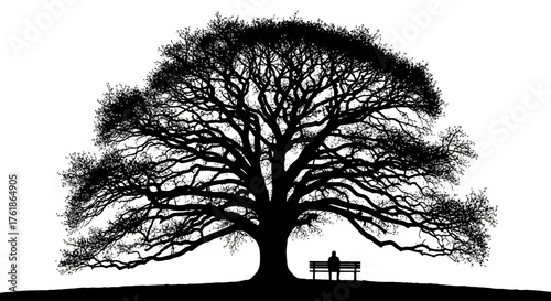 Solitary figure finds peace under a sprawling tree canopy, a black and white silhouette conveys quiet contemplation and the beauty of nature's embrace