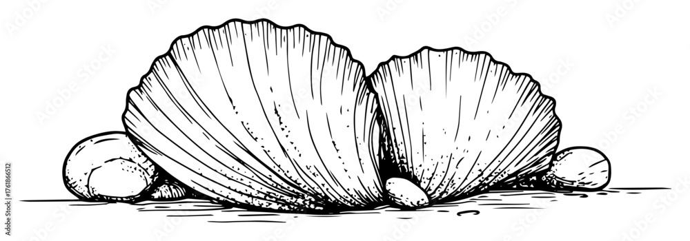 Obraz premium two scallop seashells on beach sketch vector illustration