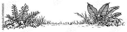patch of wild grass fern and plants sketch vector