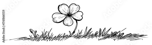 lucky four leaf clover in grass sketch vector illustration