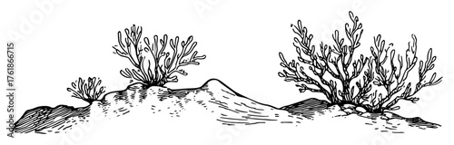 hand drawn coral reef seabed sketch isolated on white vector illustration