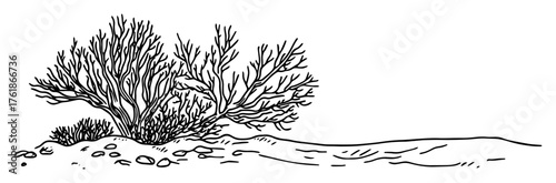 hand drawn underwater coral bush sketch isolated on white vector illustration