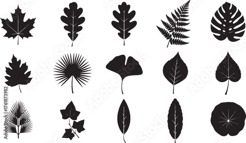 Leaf silhouettes icons set, maple, oak, fern, monstera, palm, ginkgo, pine, ivy, bamboo, lotus, abstract round leaf vector.