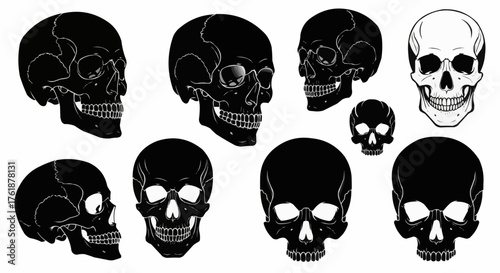 Set of human skull black silhouettes designed in various styles featuring clean bold shapes and detailed outlines ideal for Halloween artwork horror themes gothic illustrations t shirt prints posters 