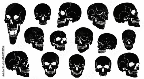 Set of human skull black silhouettes designed in various styles featuring clean bold shapes and detailed outlines ideal for Halloween artwork horror themes gothic illustrations t shirt prints posters 