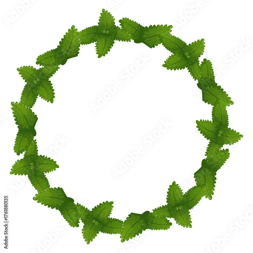 Green Mint Leaf Circular Frame Design. Circular wreath made of mint leaves, symbolizing freshness and nature, ideal for eco branding, herbal packaging, or natural product design.