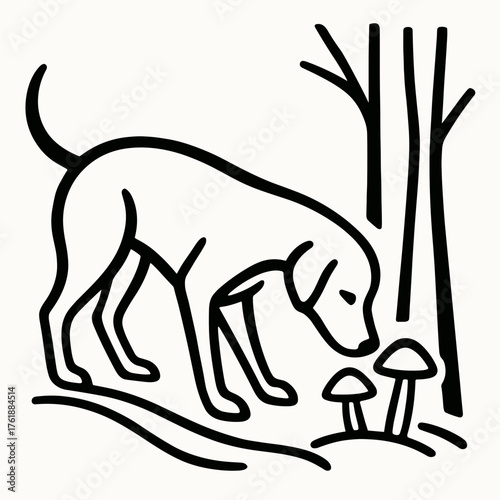 Dog sniffing mushrooms in forest 