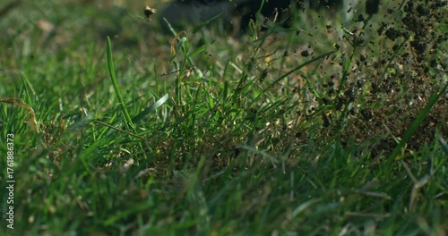 Slow Motion Macro of Golf Ball Impact. Concept of The Precision of a Swing, Blades of Grass Flying in the Air, Energy, Focus and Perfection of the Game at 1000 fps