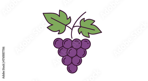 A cluster of ripe purple grapes with green leaves on a vine.
