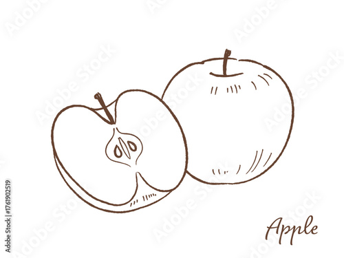 林檎の手描きベクターイラスト