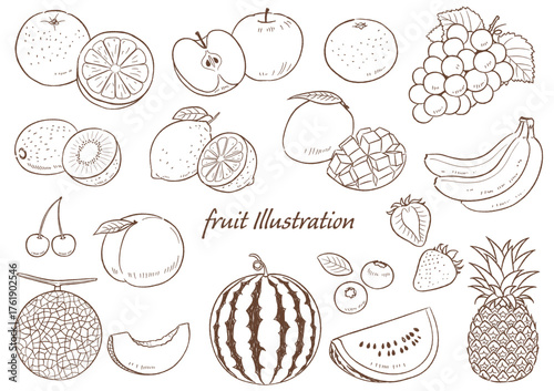 手描きの果物のセット線画_ベクターイラスト