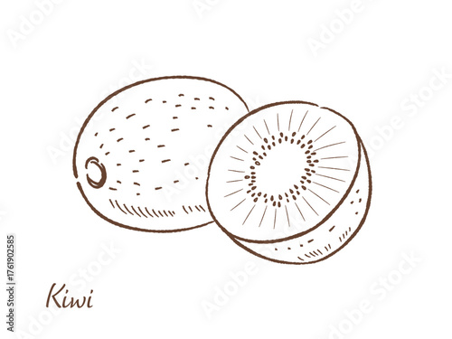 キウイフルーツの手描きベクターイラスト