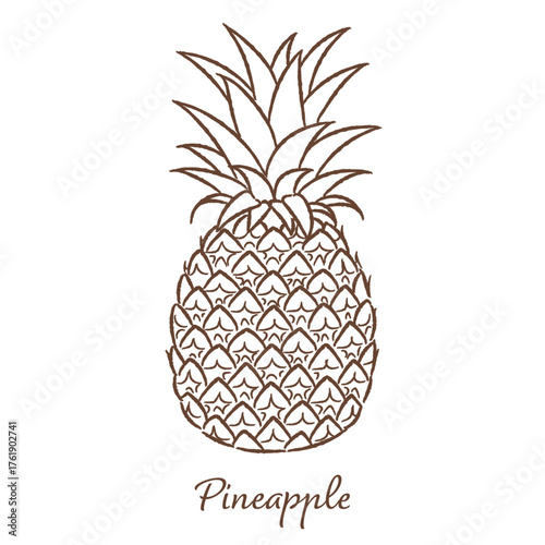 パイナップルの手描きベクターイラスト