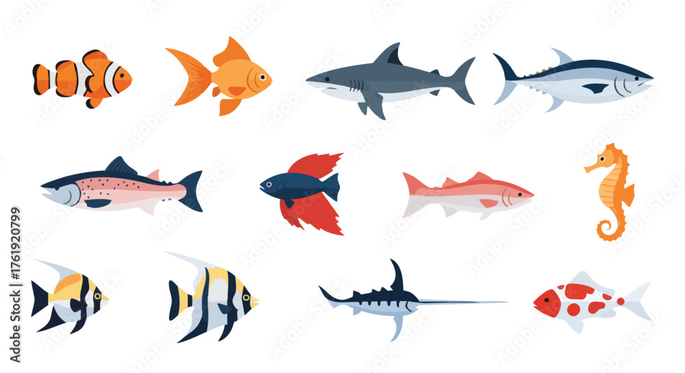 Fototapeta premium Colorful Fish Flat Vector Illustration Set with Marine and Freshwater Species