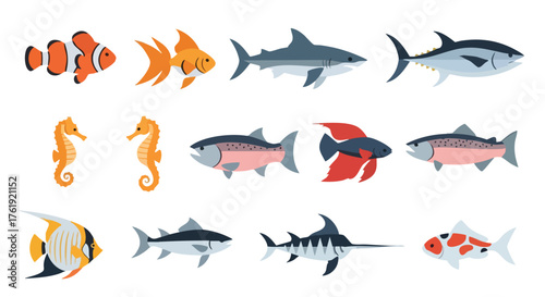 Flat Vector Set of Colorful Marine and Freshwater Fish Species Illustration