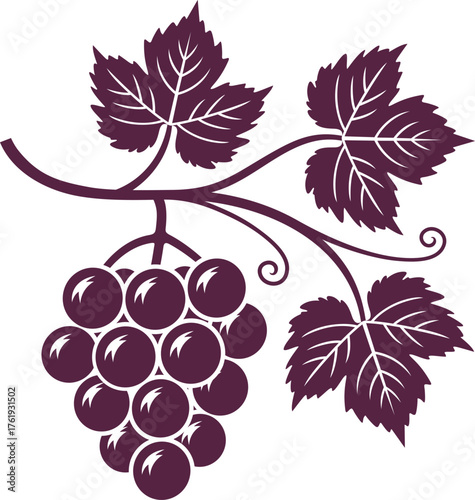 Grapes logo. Isolated grapes on white background