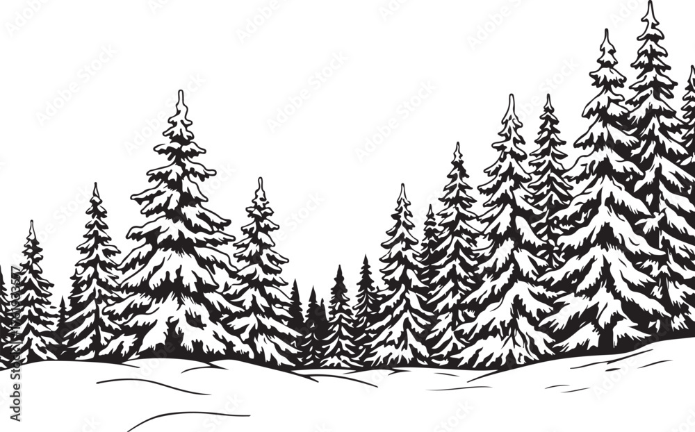 Obraz premium Black and white illustration of winter forest with snowy pine trees