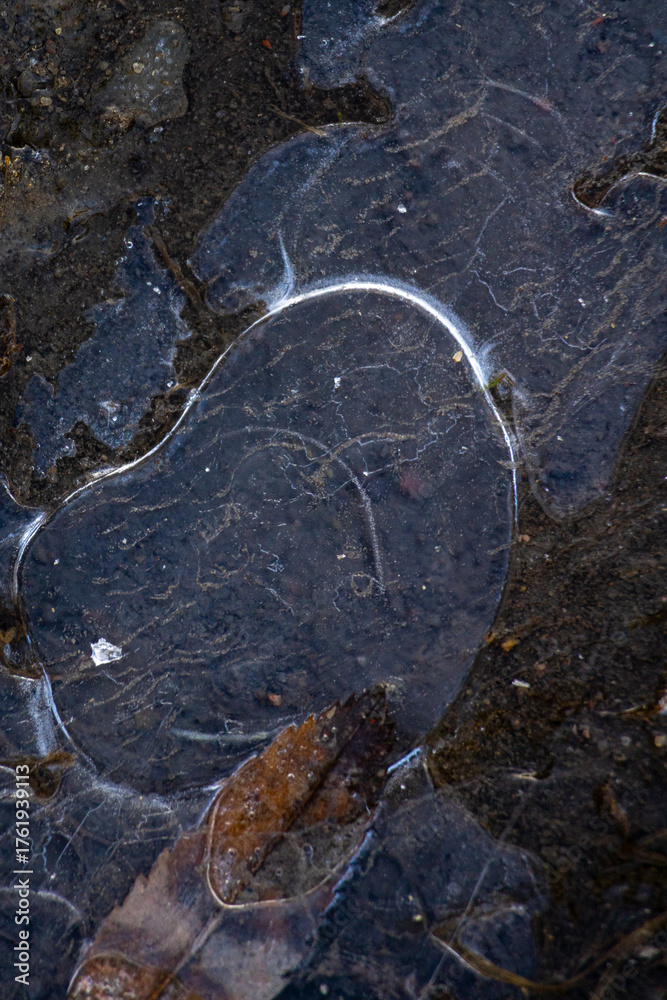 Obraz premium frozen piece of ice on the ground. autumn frosts are the first frosts, a puddle or water is frozen.