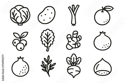 Winter Ingredients outline icon set: cabbage, potato, leek, orange, cranberry, kale, ginger root, garlic, pomegranate, herbs, turnip, chestnut.