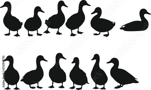 Duck silhouette collection, wildlife bird shapes, animal posture variation, flying and standing ducks, cad drawing flat vector illustration design