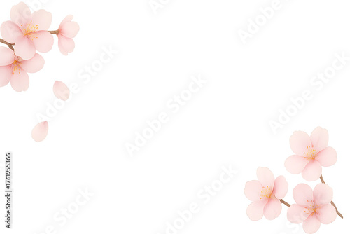 Delicate cherry blossom petals floating softly along the side with transparent background and clean white frame.
