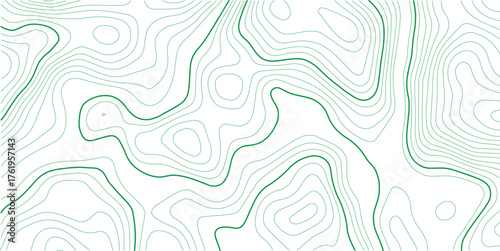 Abstract Topographic Lines Map Vector Illustration Background.