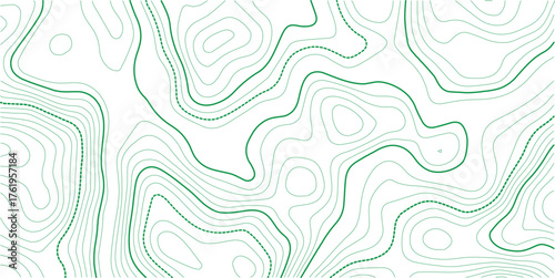 Abstract Topographic Lines Map Vector Illustration Background.