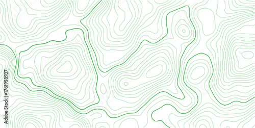 Topographic background and texture, monochrome image. Cartography Background, topographic multicolored linear background for design, abstraction with place for text.