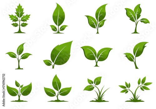 Wallpaper Mural Set of fresh green leaves and sprouts for natural design elements Torontodigital.ca