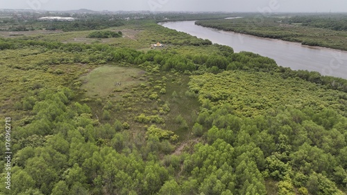 High-resolution aerial photograph showcasing a vibrant coastal city in India, bordered by dense green mangroves and a wide river leading to the sea