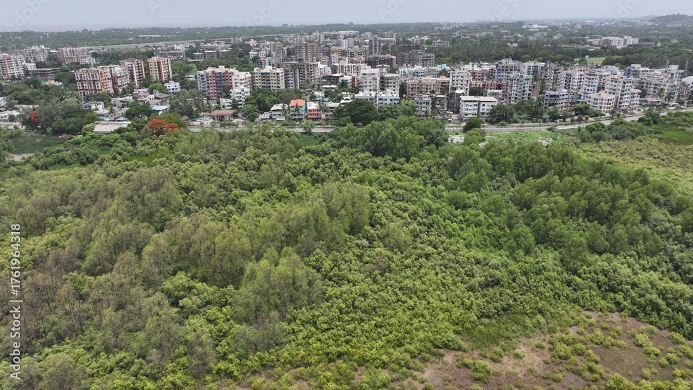 Obraz premium High-resolution aerial photograph showcasing a vibrant coastal city in India, bordered by dense green mangroves and a wide river leading to the sea