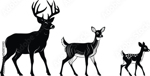 Vector illustration of deer family with stag, doe, and fawn in black and white silhouette style for wildlife design