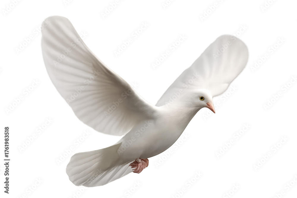 Fototapeta premium White dove flying, spreading wings, representing peace, spirituality, freedom, purity, and hope