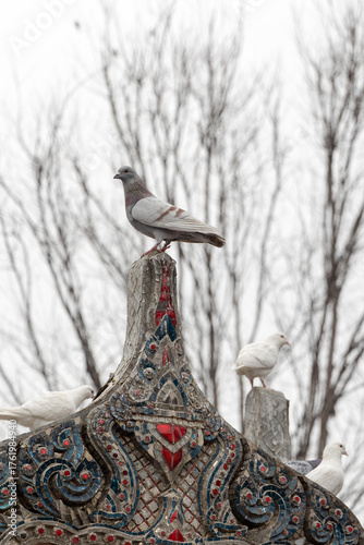 Wuhan Gude Temple, Religious Humanistic Landscape of White Pigeons Perching on Multifunctional Architecture