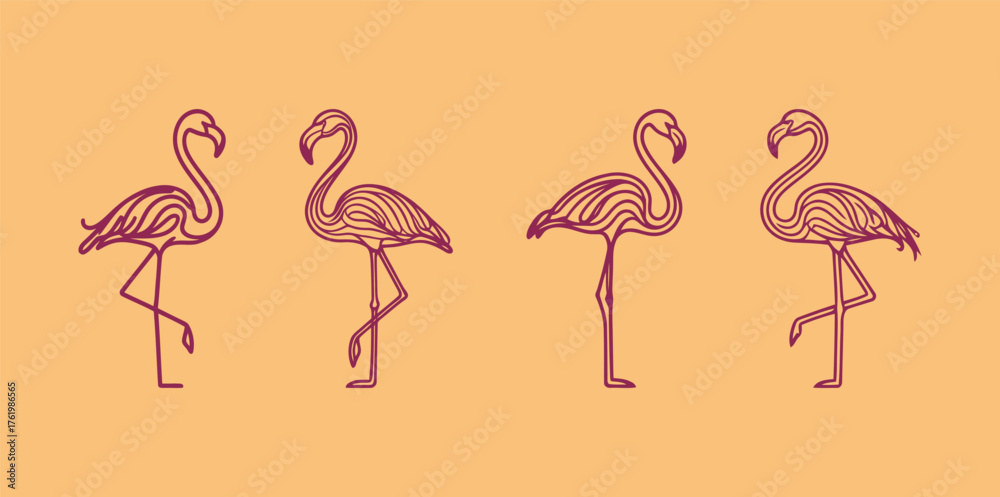 Fototapeta premium Set of Stylized Flamingo Bird Line Art Illustrations